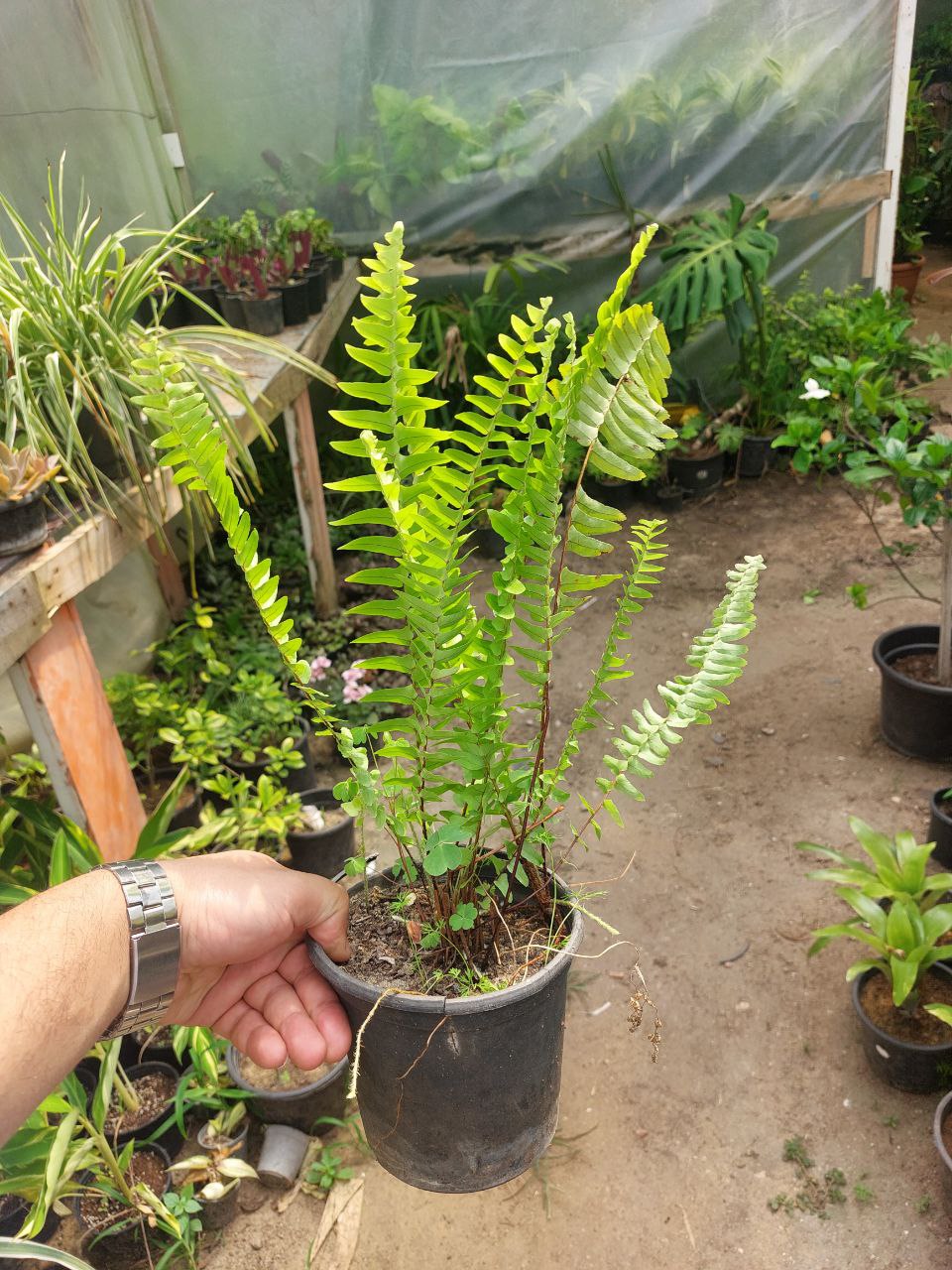 photo_2023-06-17_17-25-17