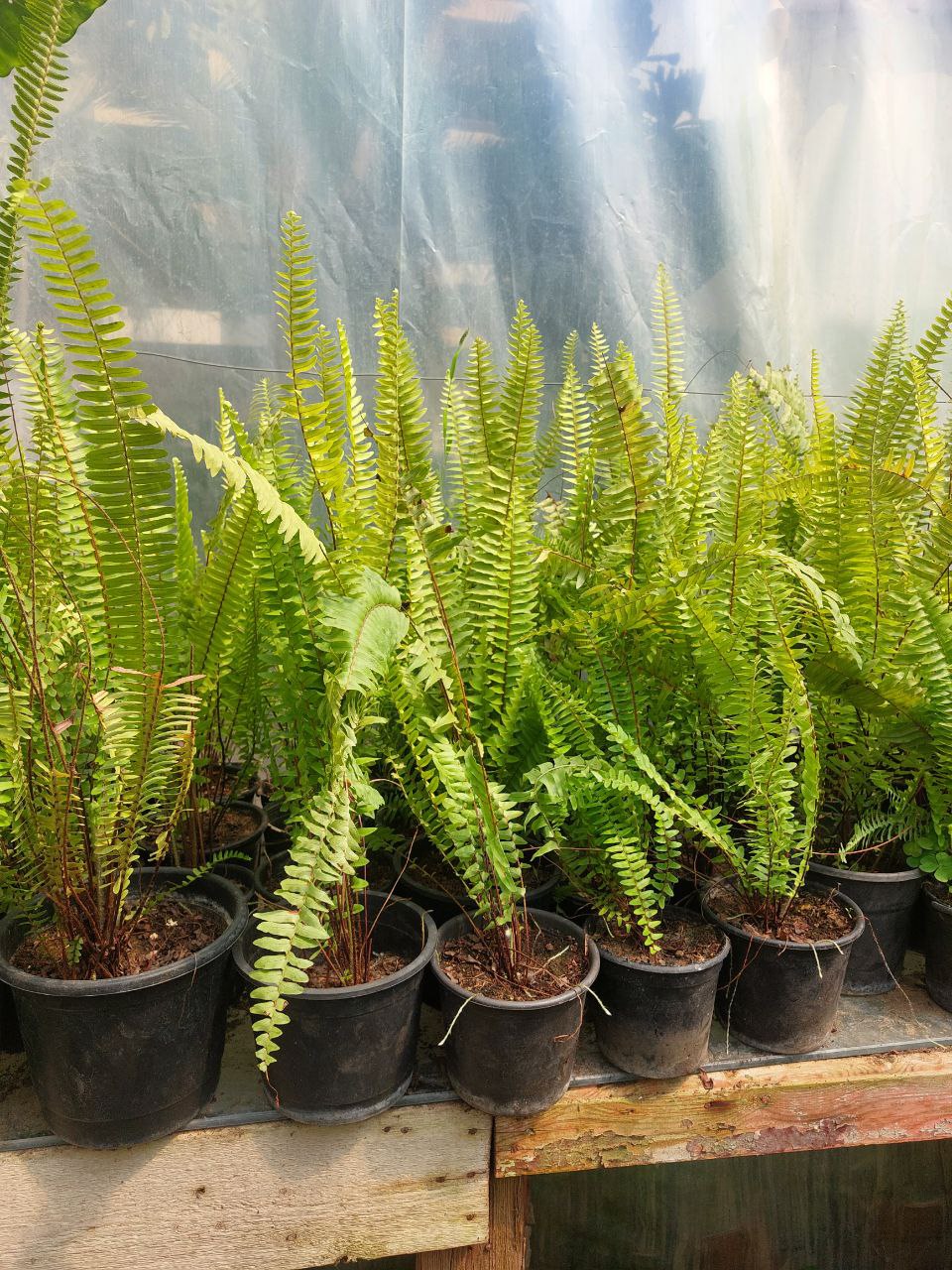 photo_2023-06-17_17-25-21