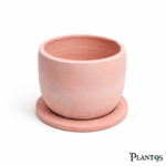 بوت زراعه فخار بطبق صغير